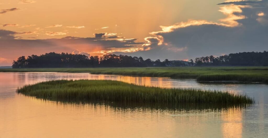 may river 2 bluffton